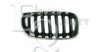 EQUAL QUALITY G1393 Radiator Grille